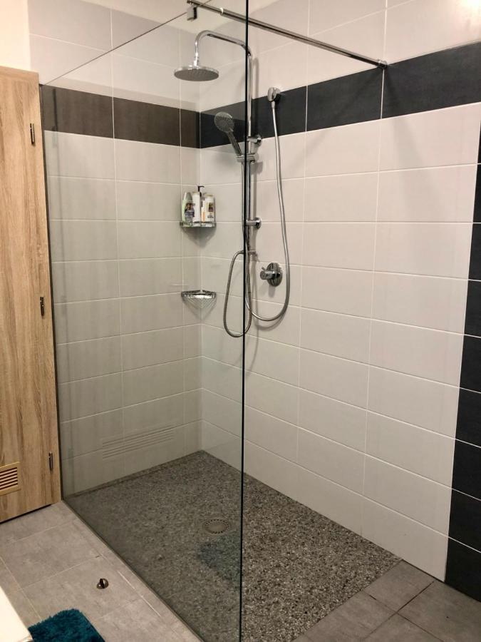 Apartman Lipno G11 Frymburk Extérieur photo